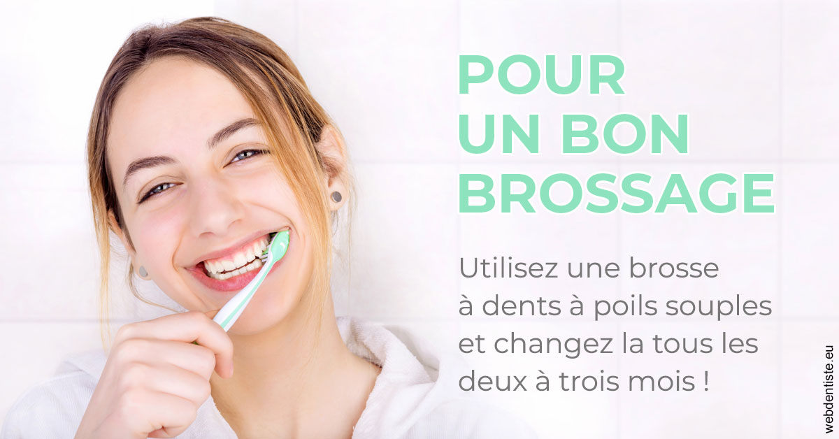 https://www.orthodontie-allouch-et-associes.fr/Pour un bon brossage 2