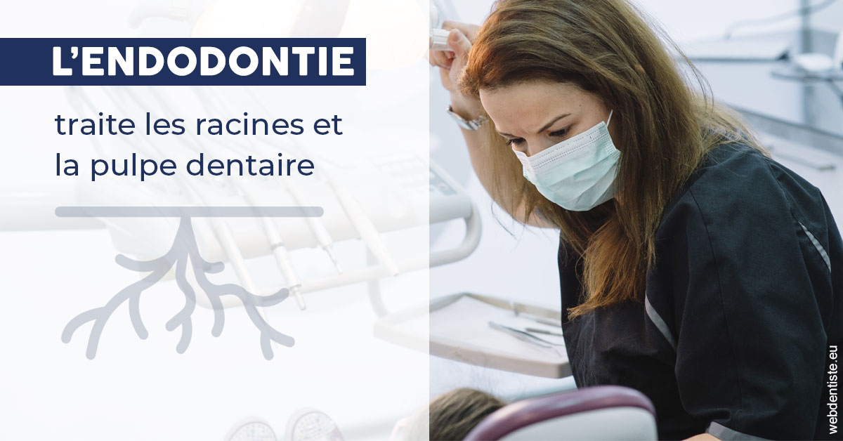 https://www.orthodontie-allouch-et-associes.fr/L'endodontie 1