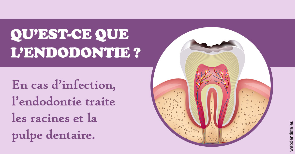 https://www.orthodontie-allouch-et-associes.fr/2024 T1 - Endodontie 02