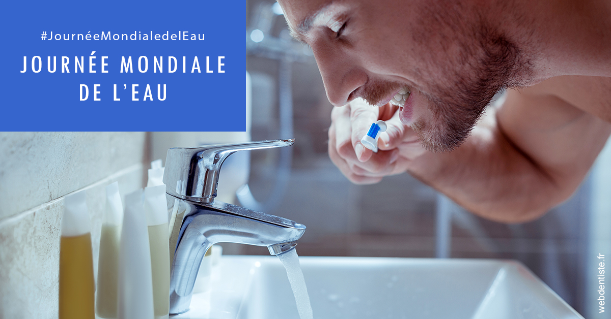 https://www.orthodontie-allouch-et-associes.fr/Journée de l'eau 2