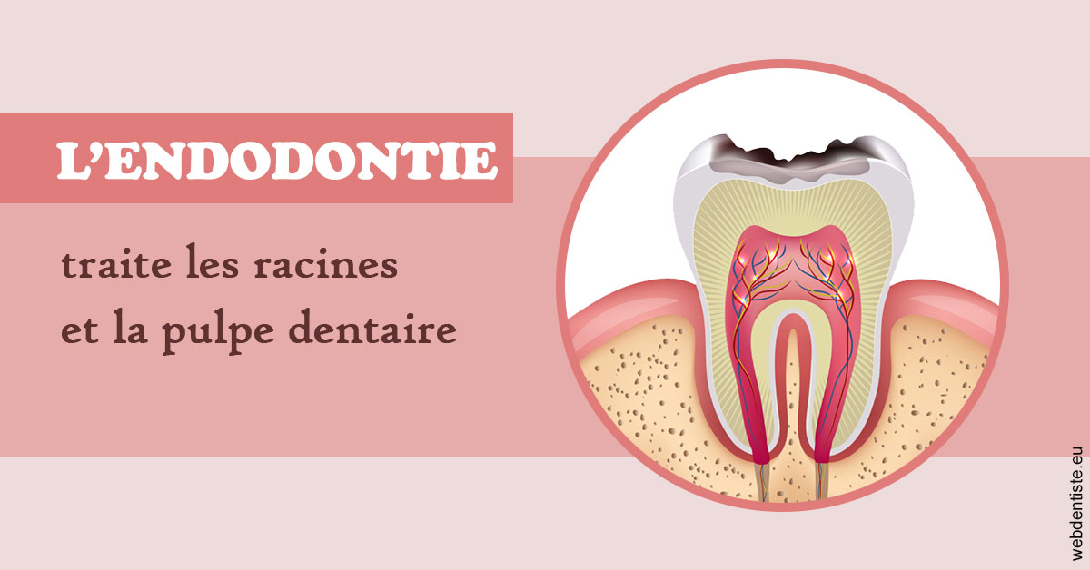 https://www.orthodontie-allouch-et-associes.fr/L'endodontie 2