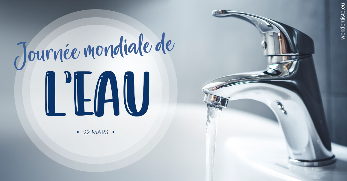 https://www.orthodontie-allouch-et-associes.fr/La journée de l'eau 2