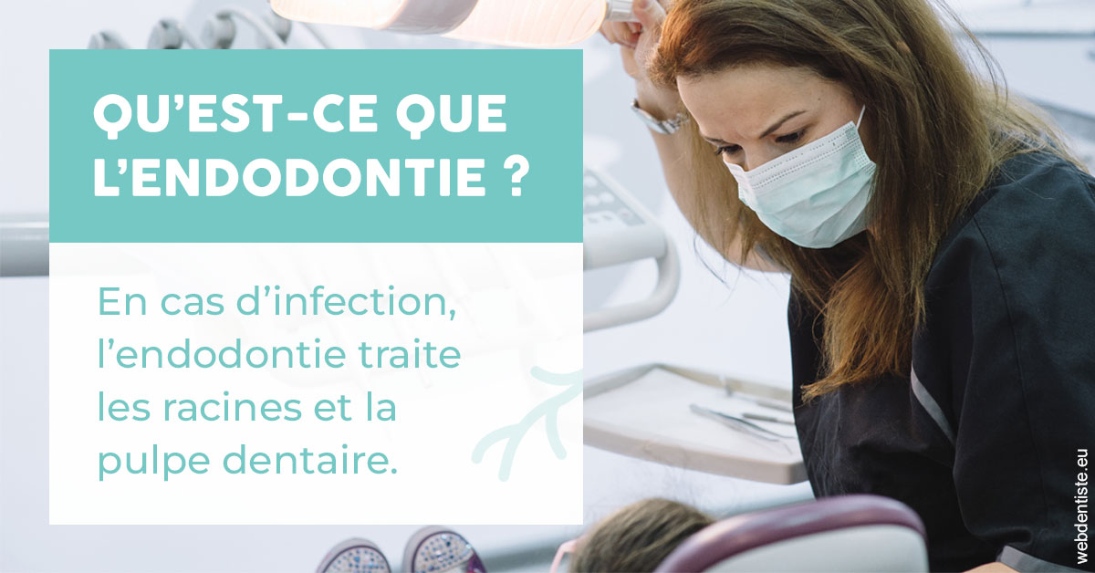 https://www.orthodontie-allouch-et-associes.fr/2024 T1 - Endodontie 01